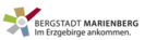 Logotip Satzung - Marienberg