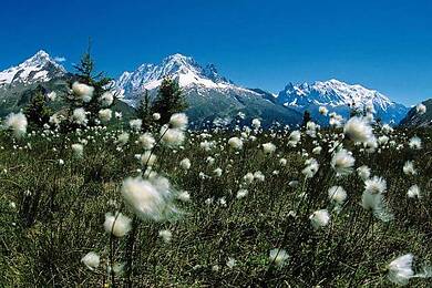 Vallée de Chamonix-Mont-Blanc