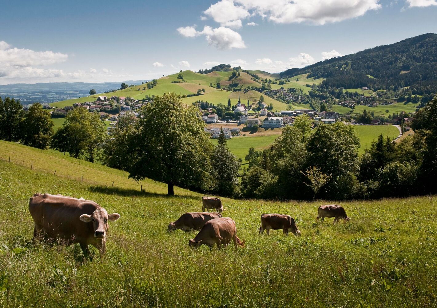 Schwarzenberg