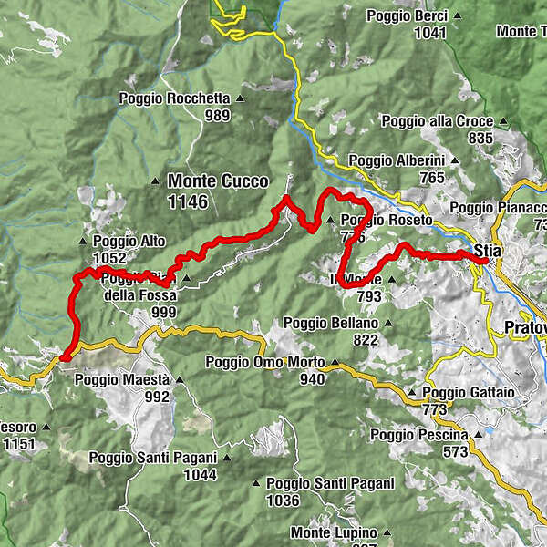 Passo della Consuma Poggio Tre Monti