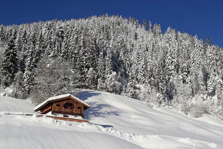 Chalet Hennleiten
