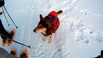 Schneeschuhwanderung um Osternohe, 07.01.2017
