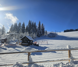 Logo Annerlbauer Lift / Krieglach