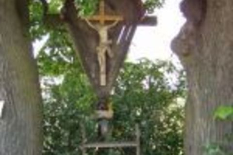 Lindenkreuz