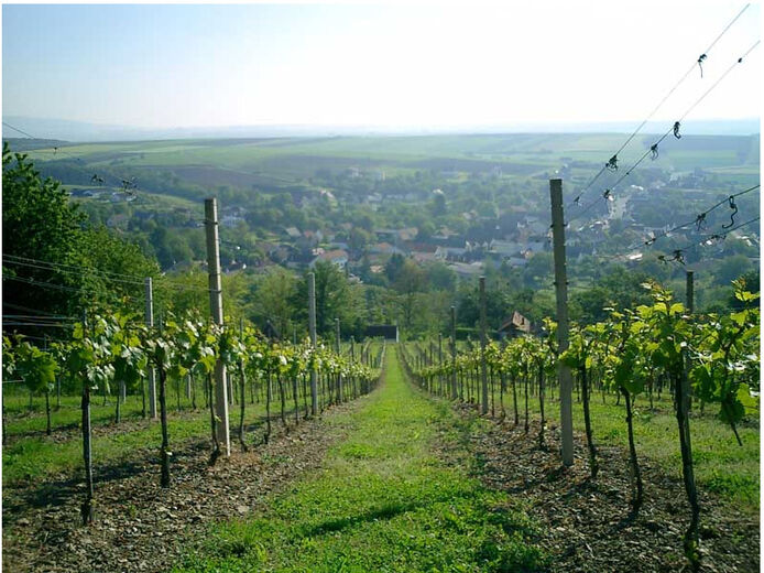 Hannersdorf