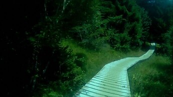 Iss-Shore Trail
