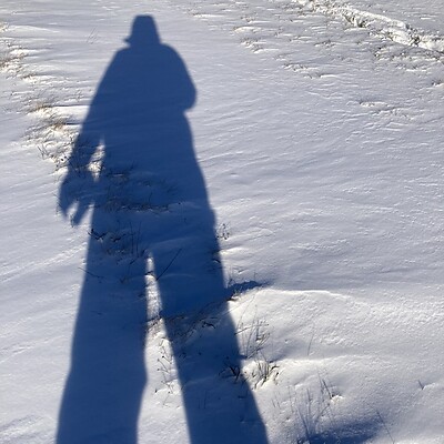 Avatar von TaBu