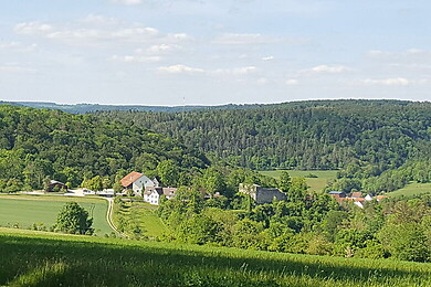 Hayingen