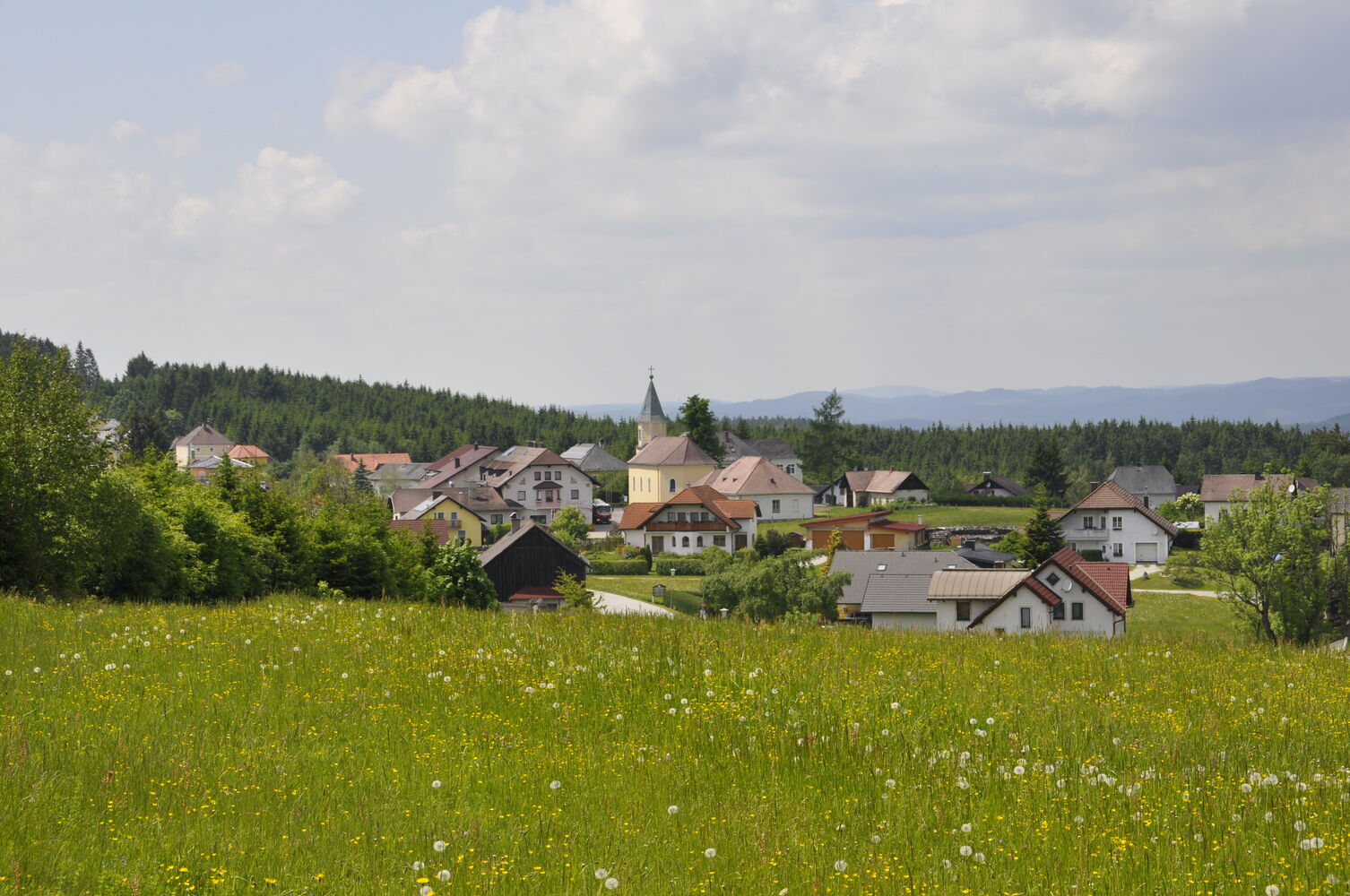 Bärnkopf