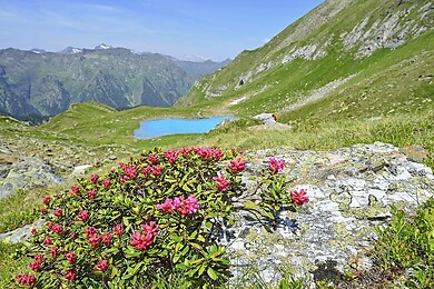 Naturpark Sölktäler