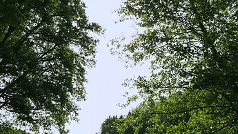 Bodensee LandGänge - Bermatinger Waldwiesen