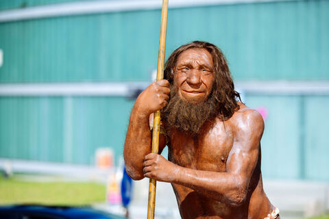 Erlebniswelt Neandertal