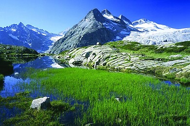 Pinzolo