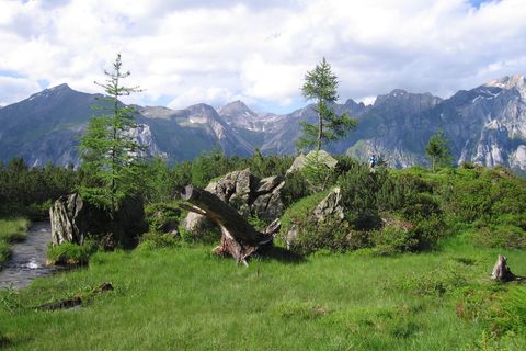 Flirsch, Mösli