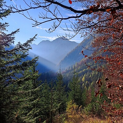 Avatar z Michi Moder