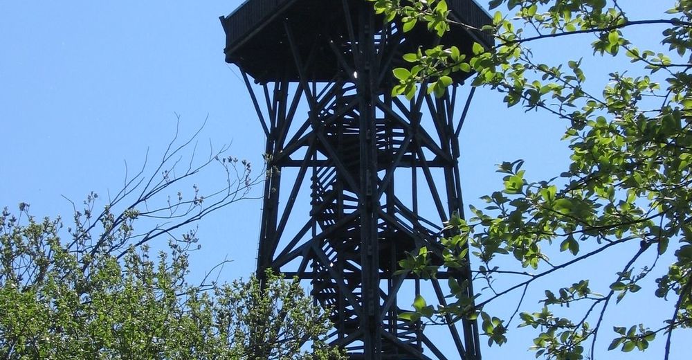 Bergfex Sehenswurdigkeiten Damberg Der Hausberg Der Steyrer Steyr Ausflugsziel Sightseeing