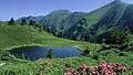 Letný región
