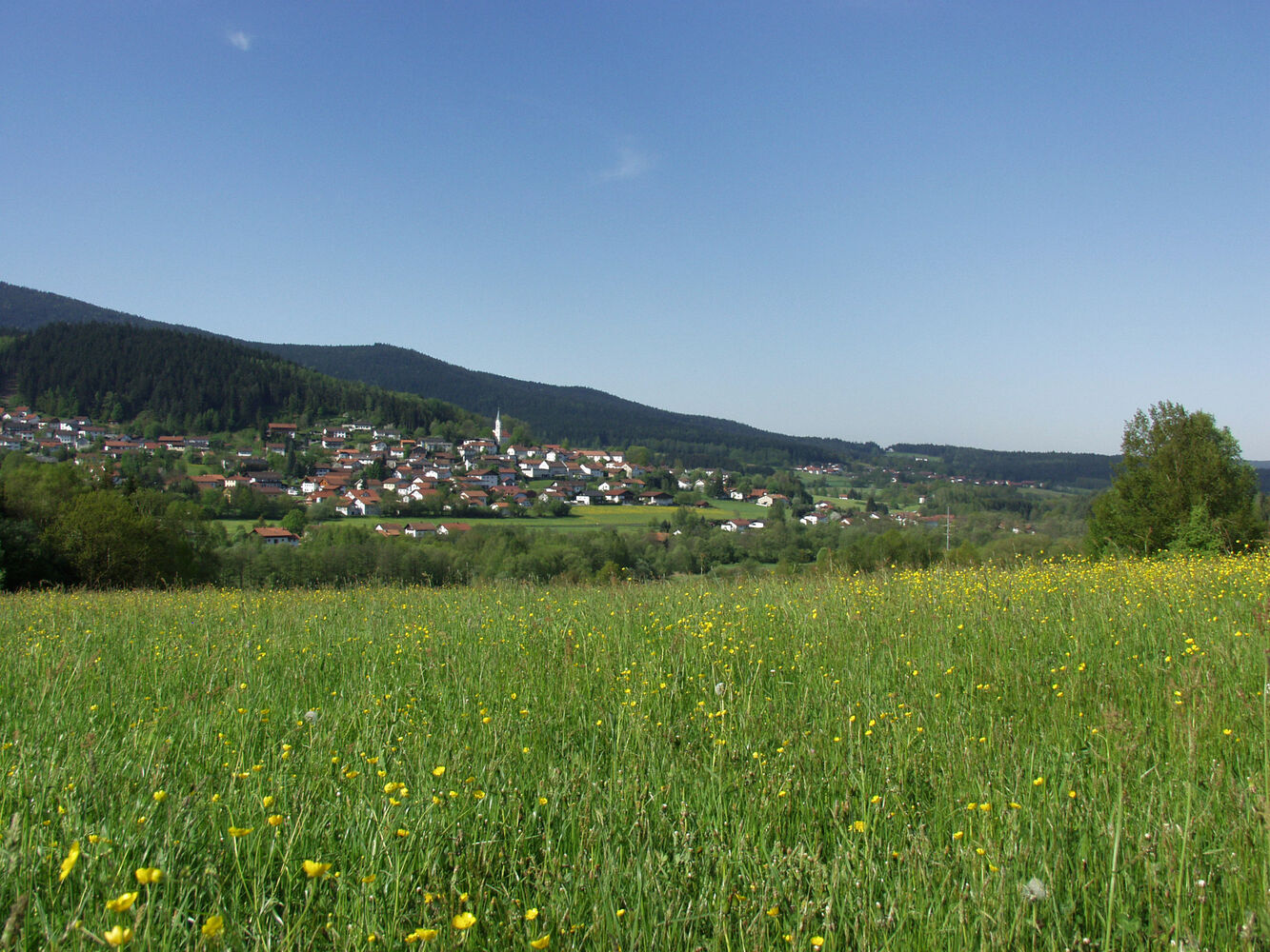 Hohenwarth
