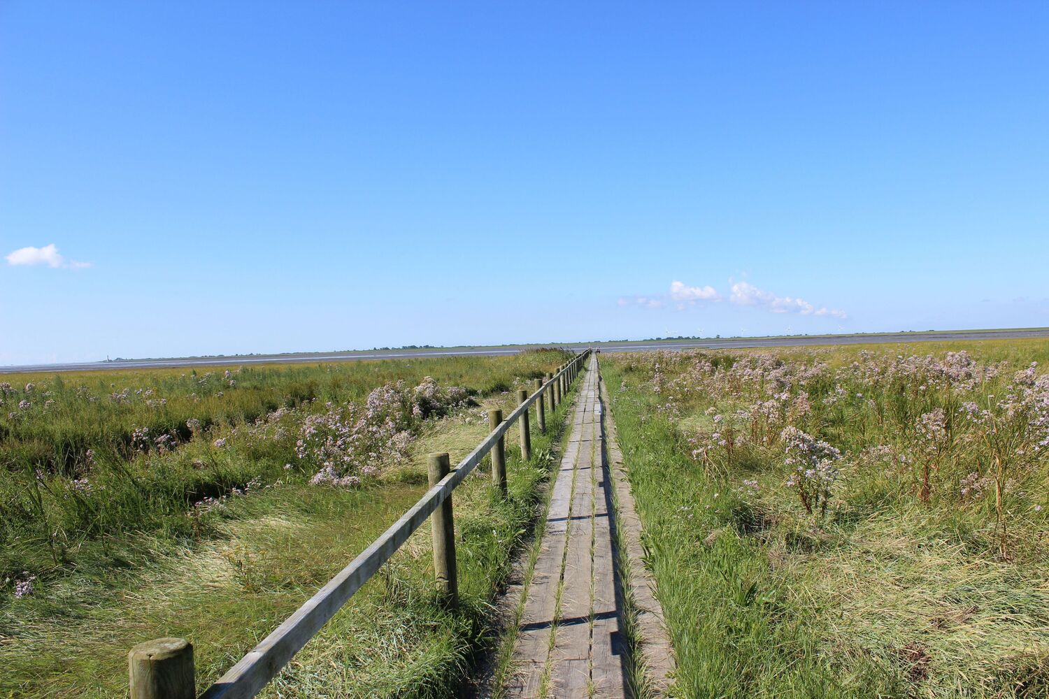 Husum & Husumer Bucht