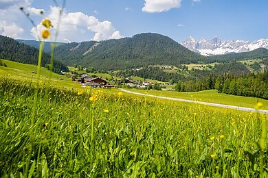 Forstau