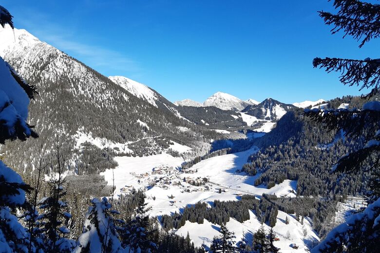 Ferienwohnungen Haus Seebach