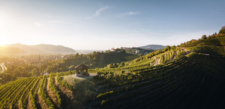 Kinzigtal / Mittlerer Schwarzwald