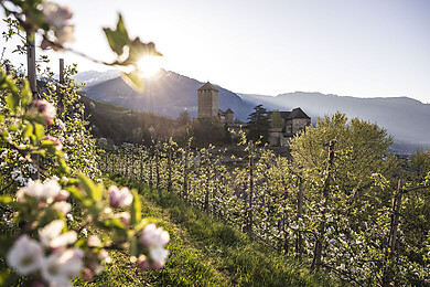 Dorf Tirol