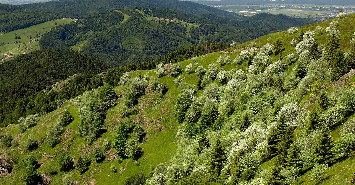 Gro E M Nstertal Umrundung Bergfex Wanderung Tour Baden W Rttemberg