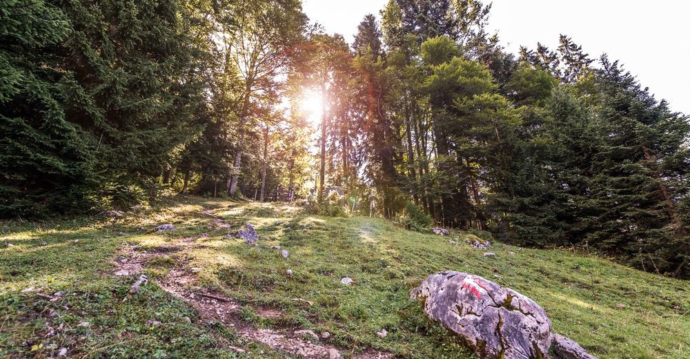 Vom Heutal auf das Sonntagshorn im Salzburger Saalachtal - BERGFEX