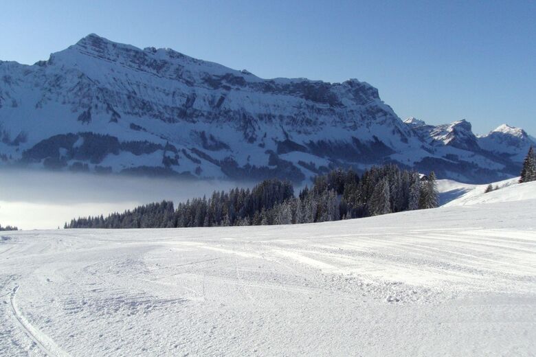 Marchbachegg