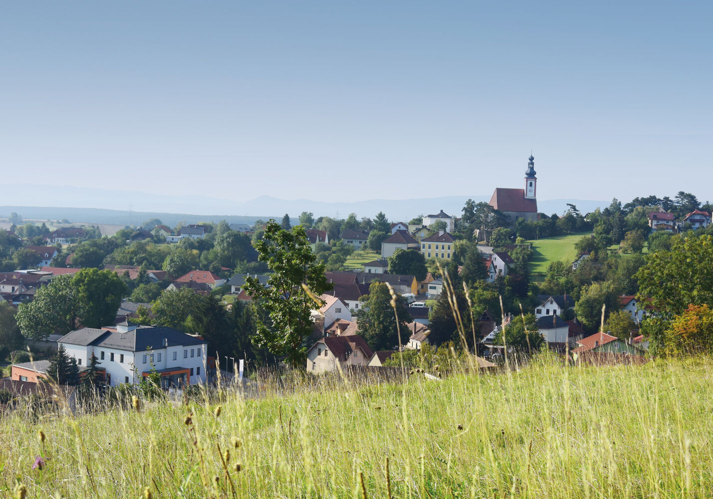 Würflach