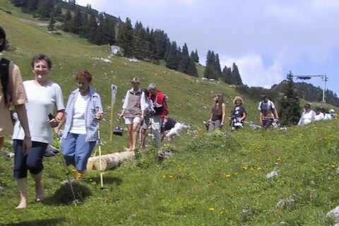 Barfußwanderweg Hahnenkamm