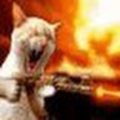 Avatar von Dangis D