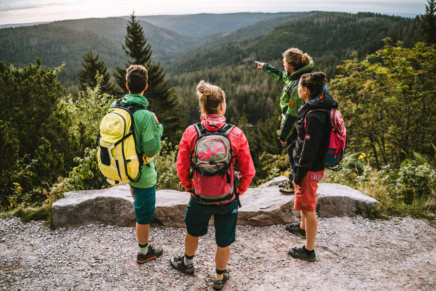 Nationalparkregion Schwarzwald