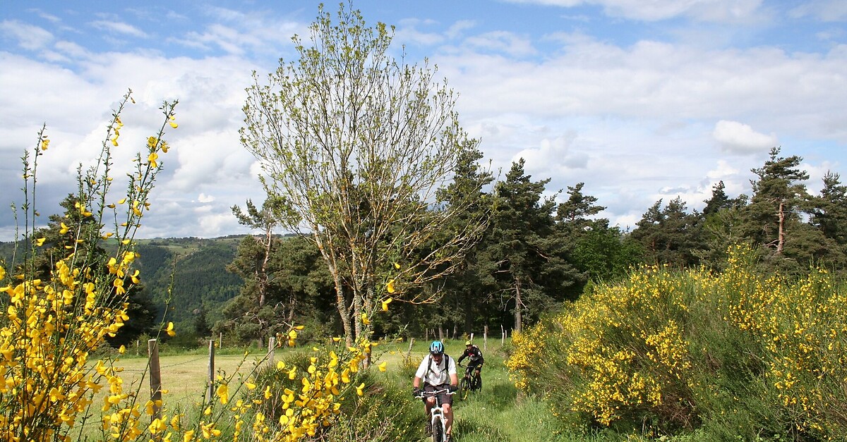 Espace VTT FFC Velay Volcanique Itinéraire VTT n° 5 Le Lac Volcanique
