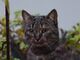 Avatar von Manfred049