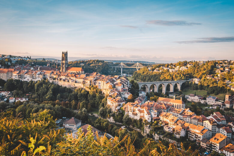 Stadt Freiburg und Region