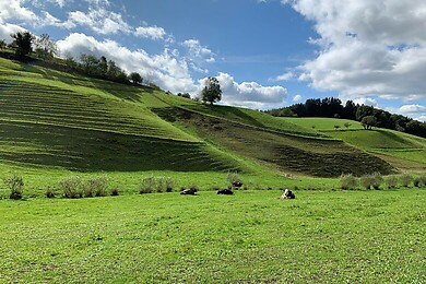 Freiamt im Schwarzwald