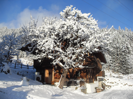 Logo Alpen-Chalet-Pankraz
