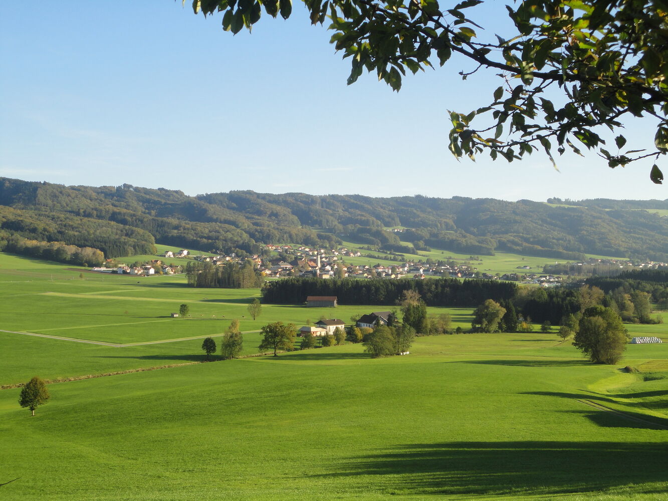 Nußdorf am Haunsberg