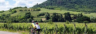 Haut-Rhin