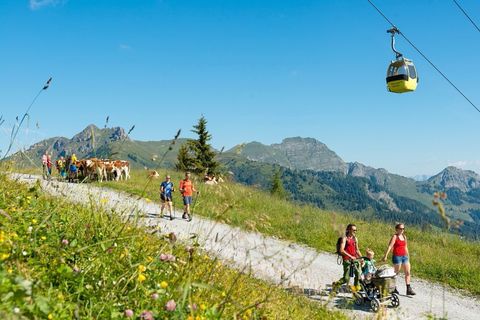 Seilbahnwandern im Großarltal