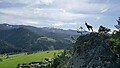 Letní region