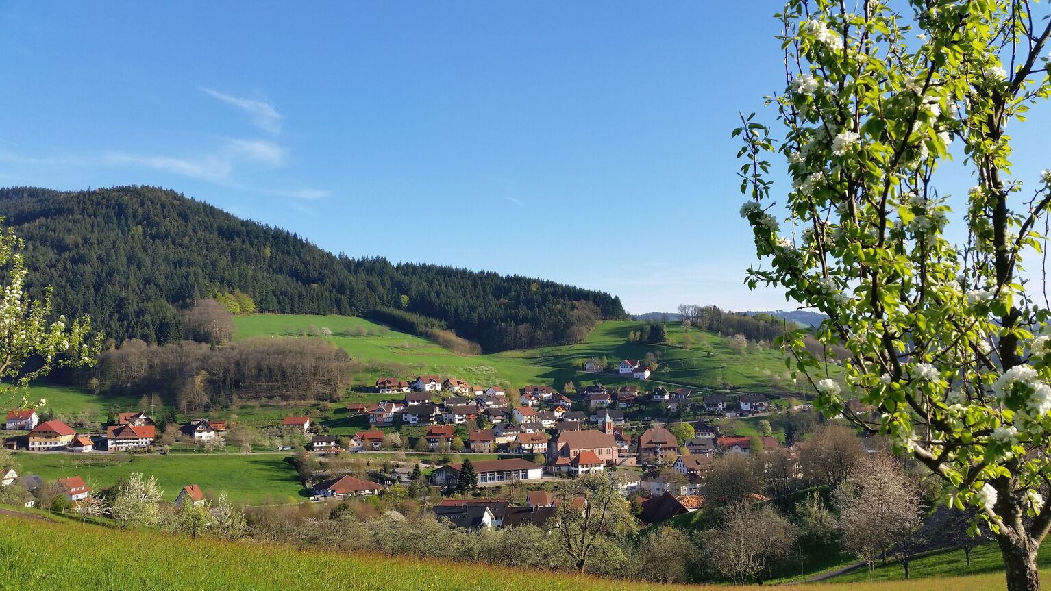 Seebach