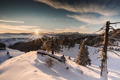 Ostallgäu