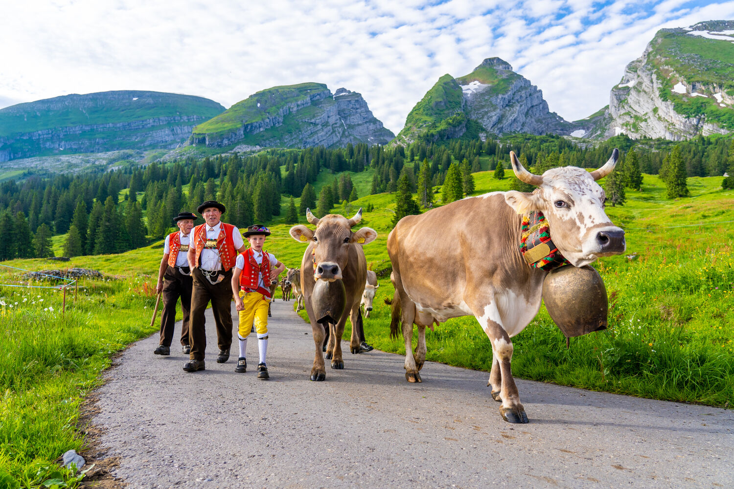 Toggenburg