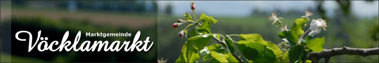 Vöcklamarkt