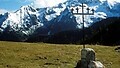 Region letni