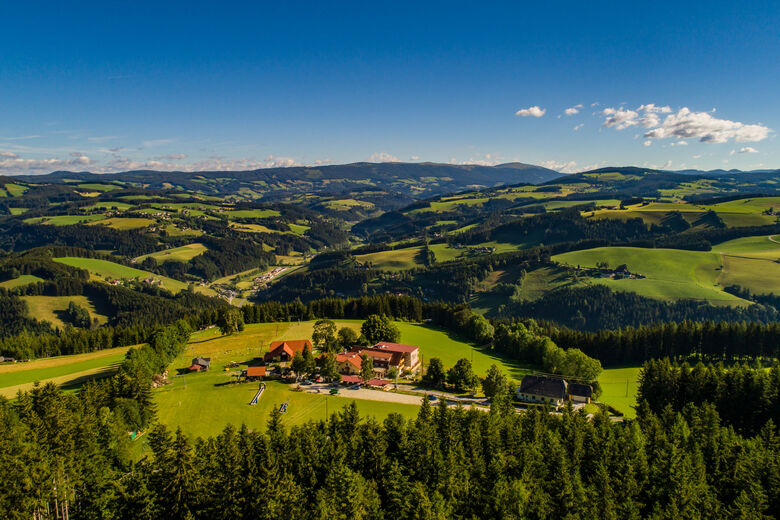 Der Almblick