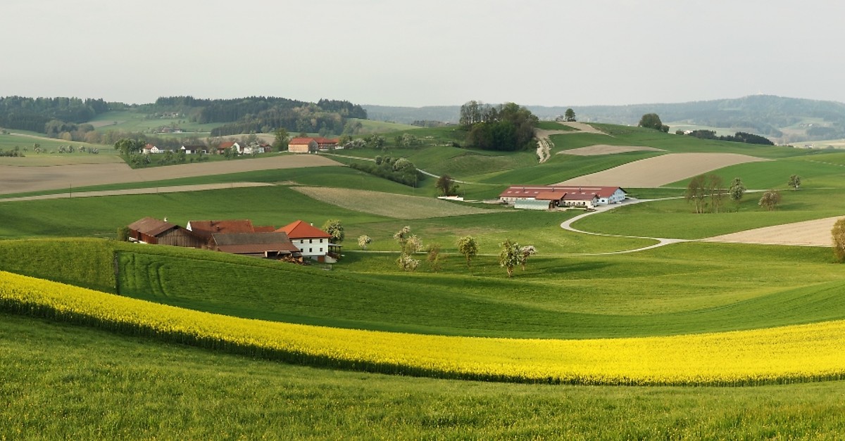 Single treff aus lohnsburg am kobernausserwald. Wo mnner kennenlernen in bad sauerbrunn. Aschach an der donau frauen aus treffen. Bad zell dating berry. Frau sucht mann frs bett obdach: Waidhofen an der ybbs